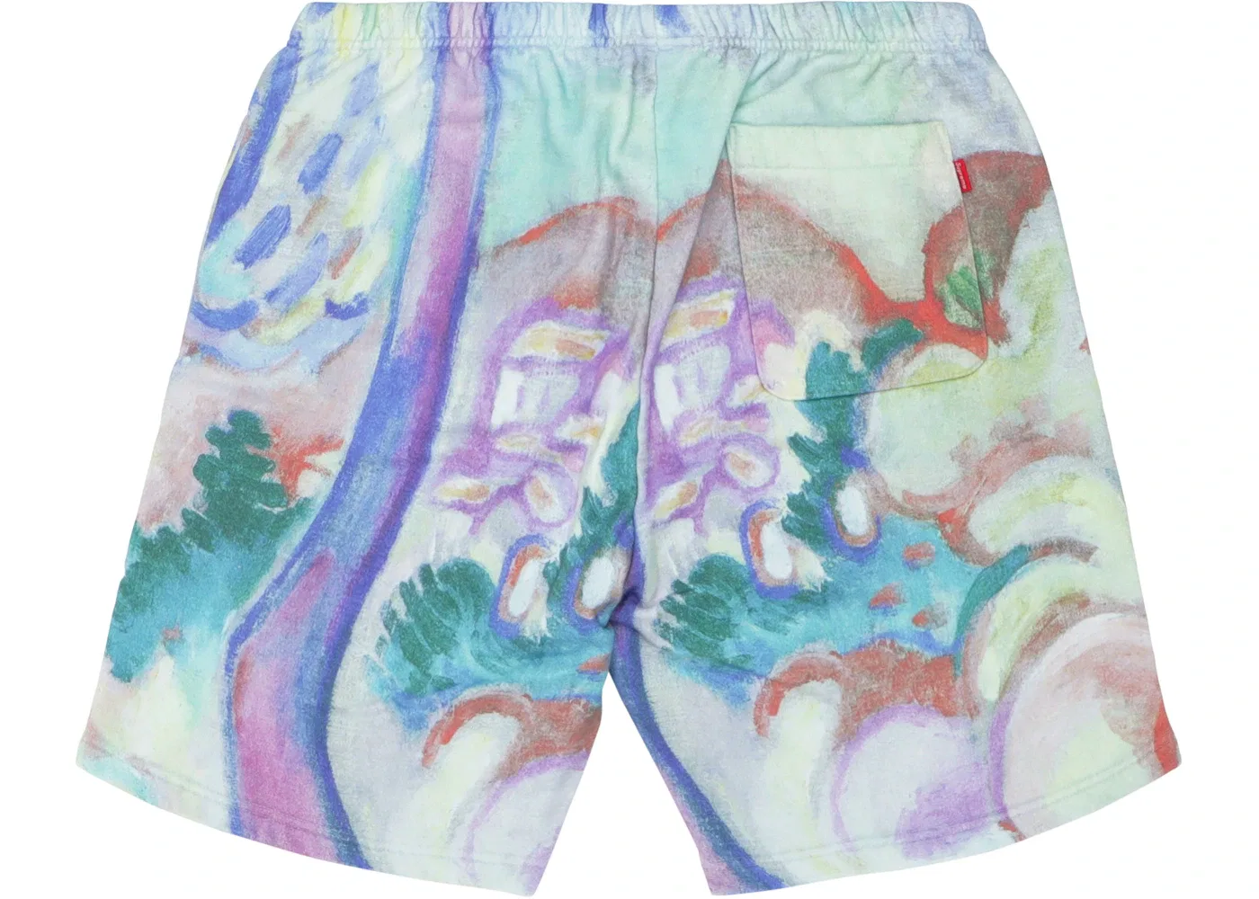 Мужские шорты с принтом Supreme Sweatshort, Multicolor — фото 2