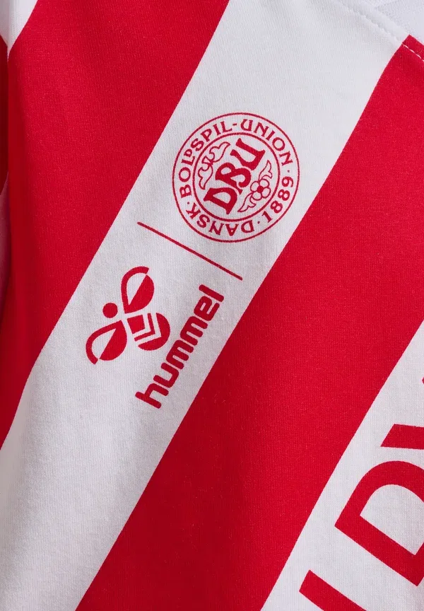 Футболка Dbu 26 fan dynamite ss для детей унисекс - одежда национальной сборной Hummel, белый/красный — фото 3