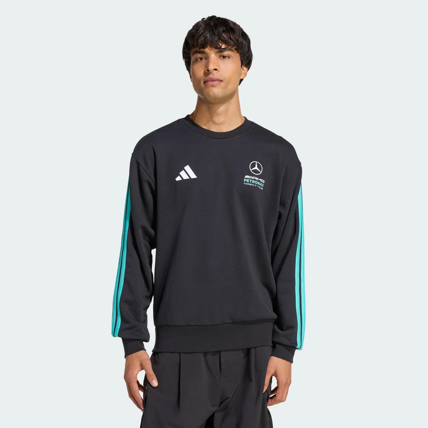 Мужской свитшот с принтом MERCEDES - AMG PETRONAS FORMULA 1 TEAM DNA SWEAT TOP Adidas, Schwarz