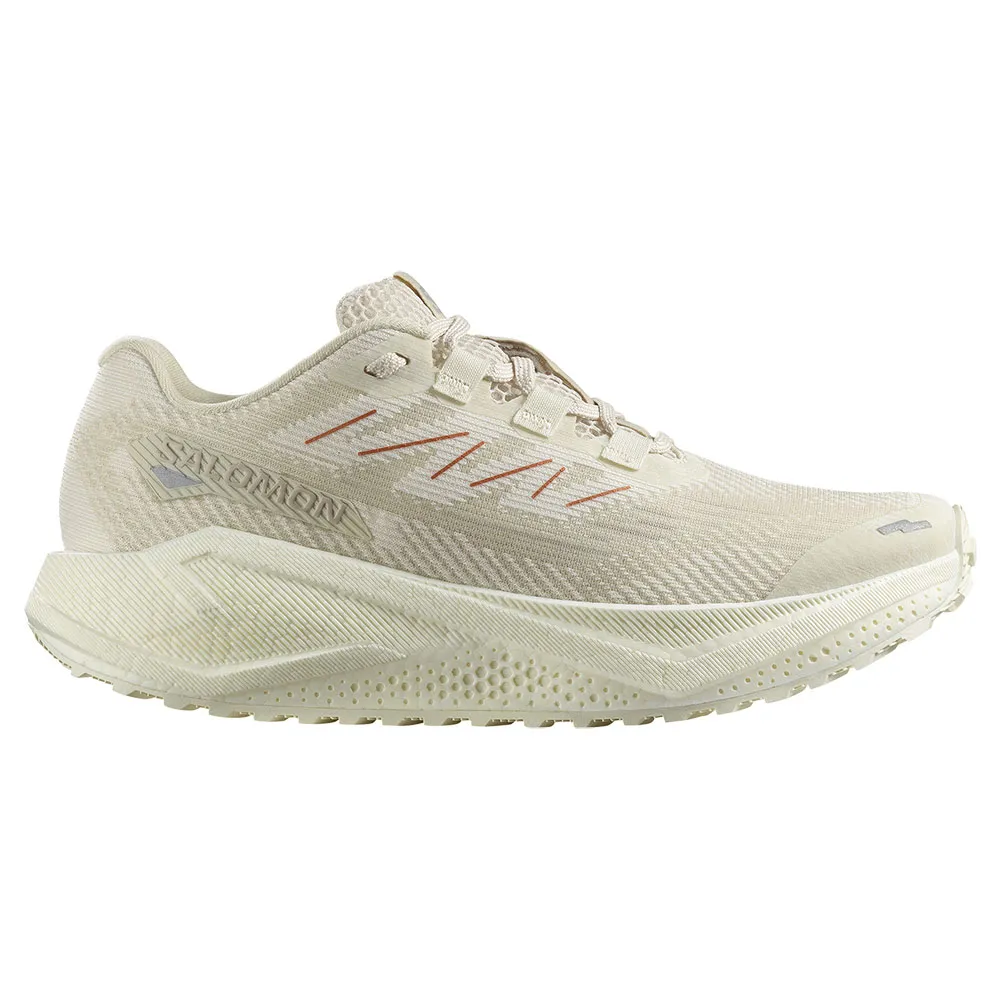 Беговые кроссовки Salomon Aero Blaze 3 GRVL, бежевый