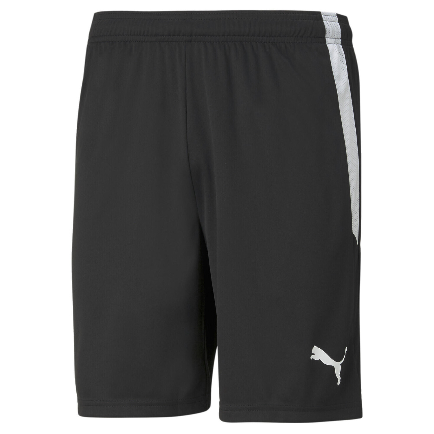 

мужские футбольные шорты teamLIGA PUMA, черный/белый/белый