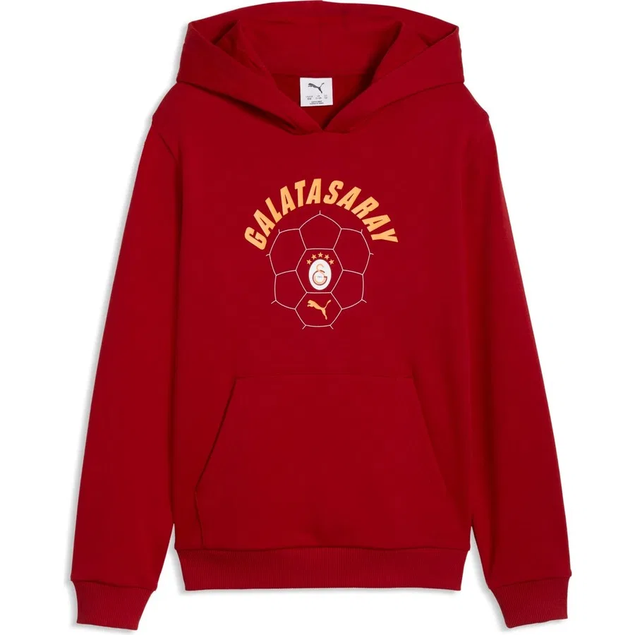 Худи из футера с принтом Ftblculture Galatasaray Puma, Dark Cherry - Summer Sunset