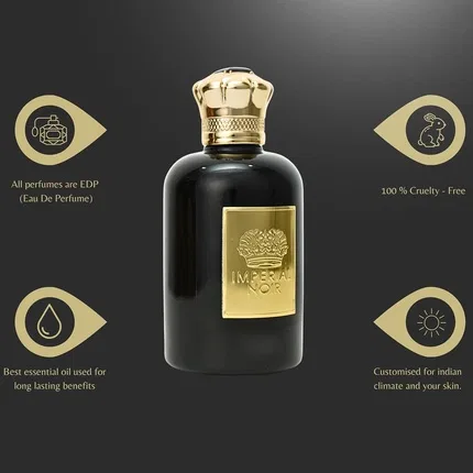Мужская парфюмерная вода Imperial Noir 100 мл Riiffs