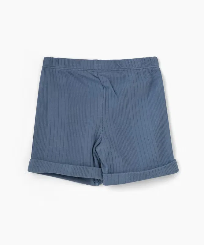 Шорты хлопковые комплект Baby boys shorts Tiny Hug, синий — фото 2