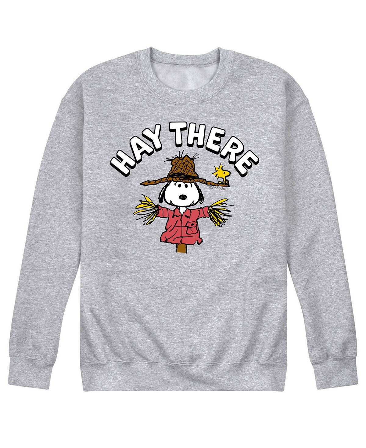 

Мужская флисовая футболка peanuts hay there AIRWAVES, серый