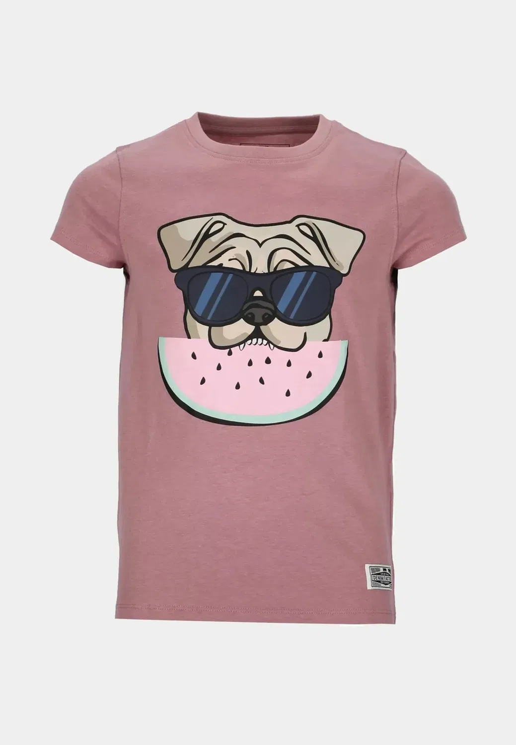 Футболка San Diego Tee G Jr - с принтом Denim Factory, Dusty Rose Watermelon — фото 4
