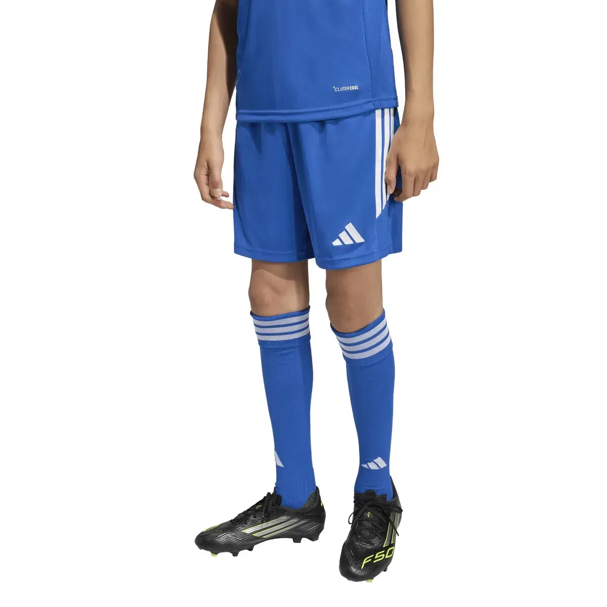 Детские шорты для мальчиков из полиэстера Tiro 26 League adidas, Azul
