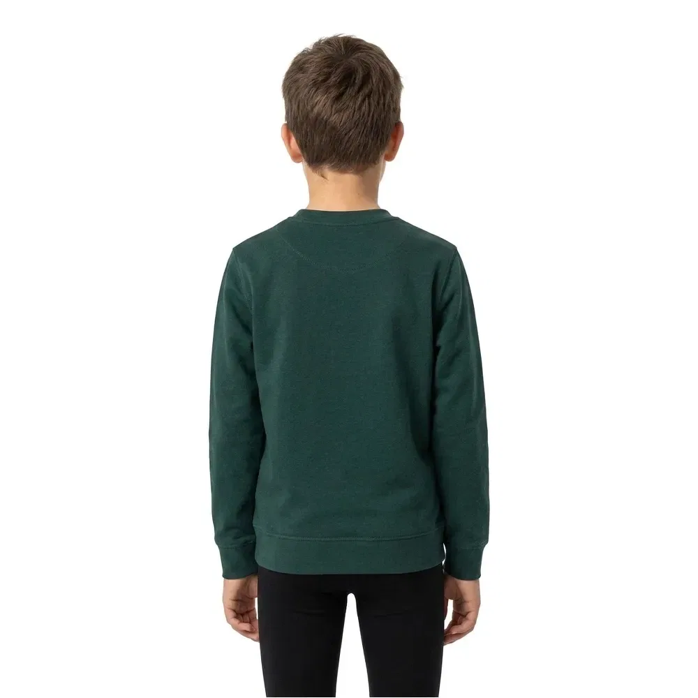 Детский свитшот для мальчиков с начесом Jack & jones Soho, Green — фото 2