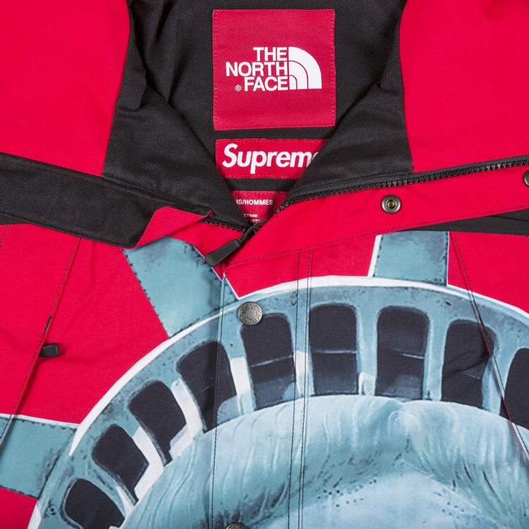 Куртка Supreme x The North Face Statue Of Liberty Mountain Jacket 'Red', красный — фото 4