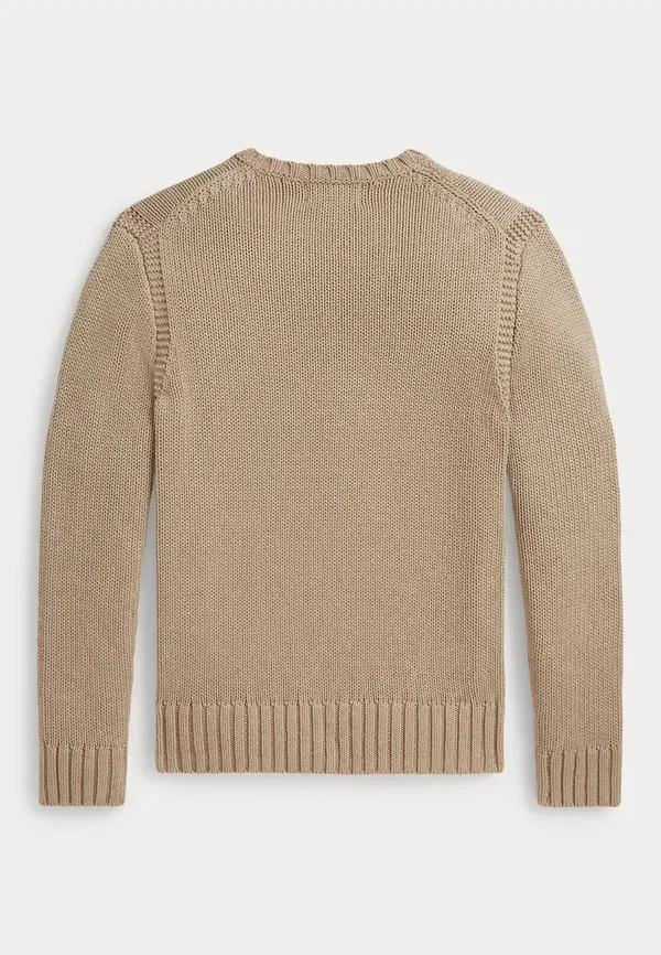Джемпер с принтом Contrast-trim iconic flag sweater Polo Ralph Lauren, oatmeal multi — фото 2
