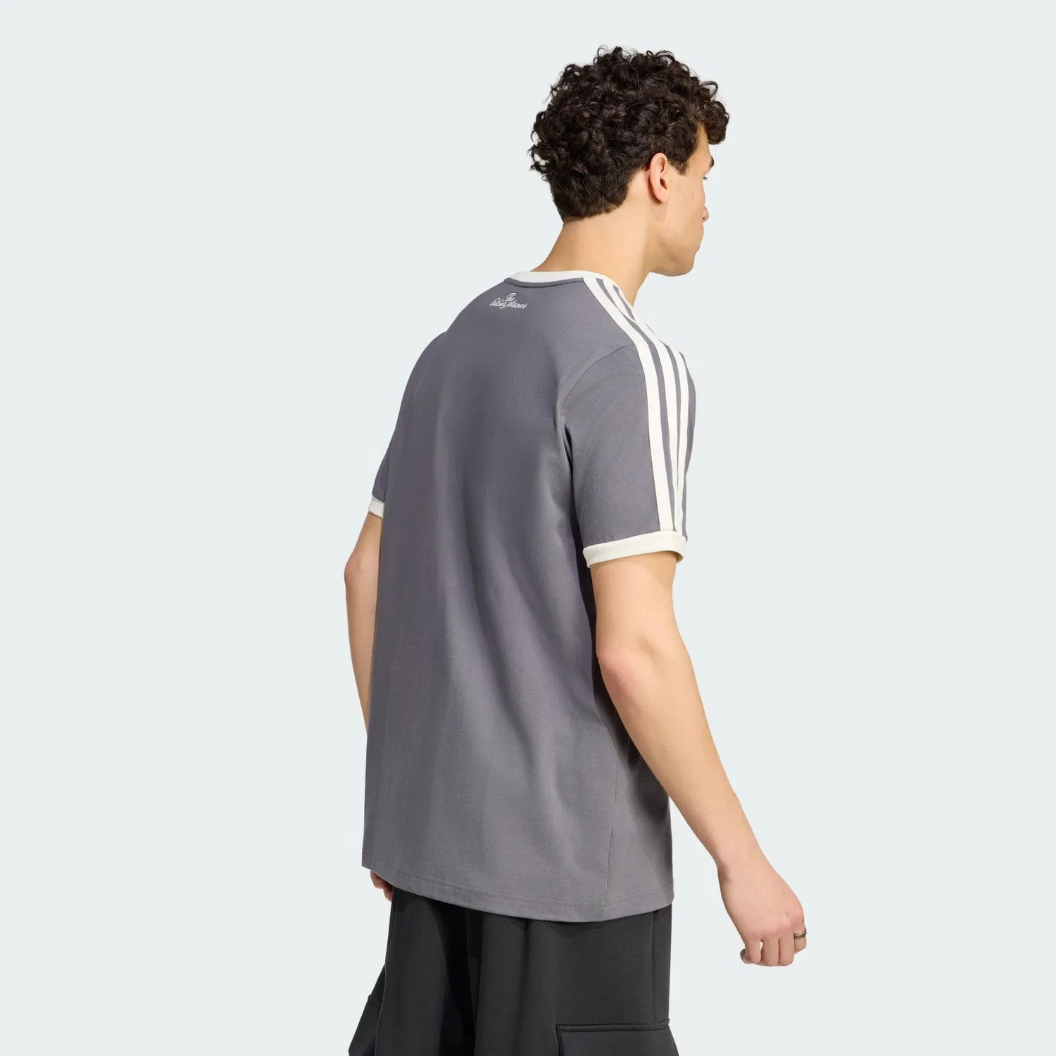 Мужская футболка с принтом Silver Arrows Icon Adidas, Grau Weiss — фото 3