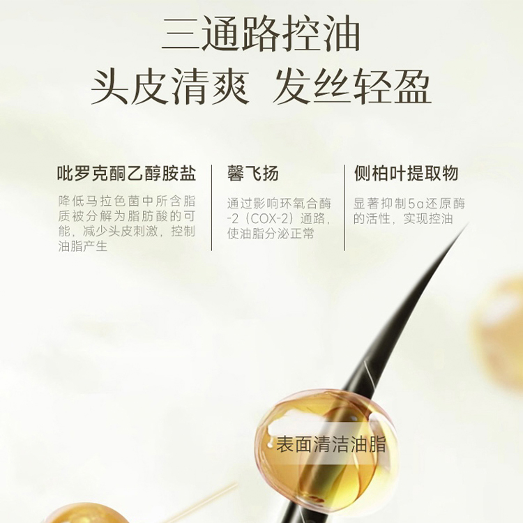 Шампунь для контроля жирности Ginger Oil Control, придающий объем, бережное восстановление, стойкий аромат, 80 мл FicceCode — фото 3