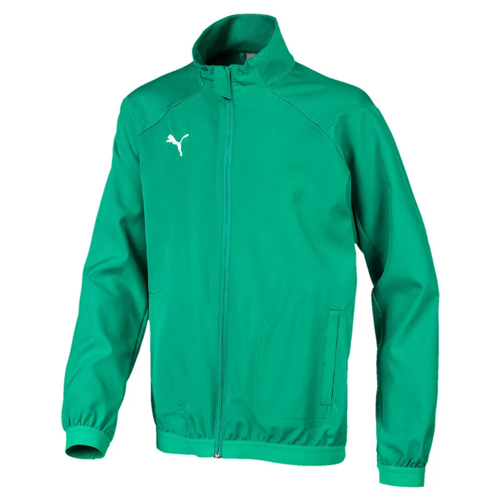 Детская тренировочная куртка с принтом Liga Sideline Jacket Jr Puma, Grun