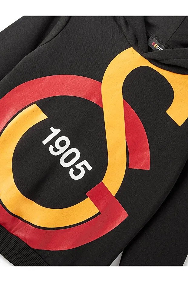 Детская толстовка для девочек с принтом Galatasaray big logo kids sweatshirt c88154 Gsstore, 142329 — фото 2