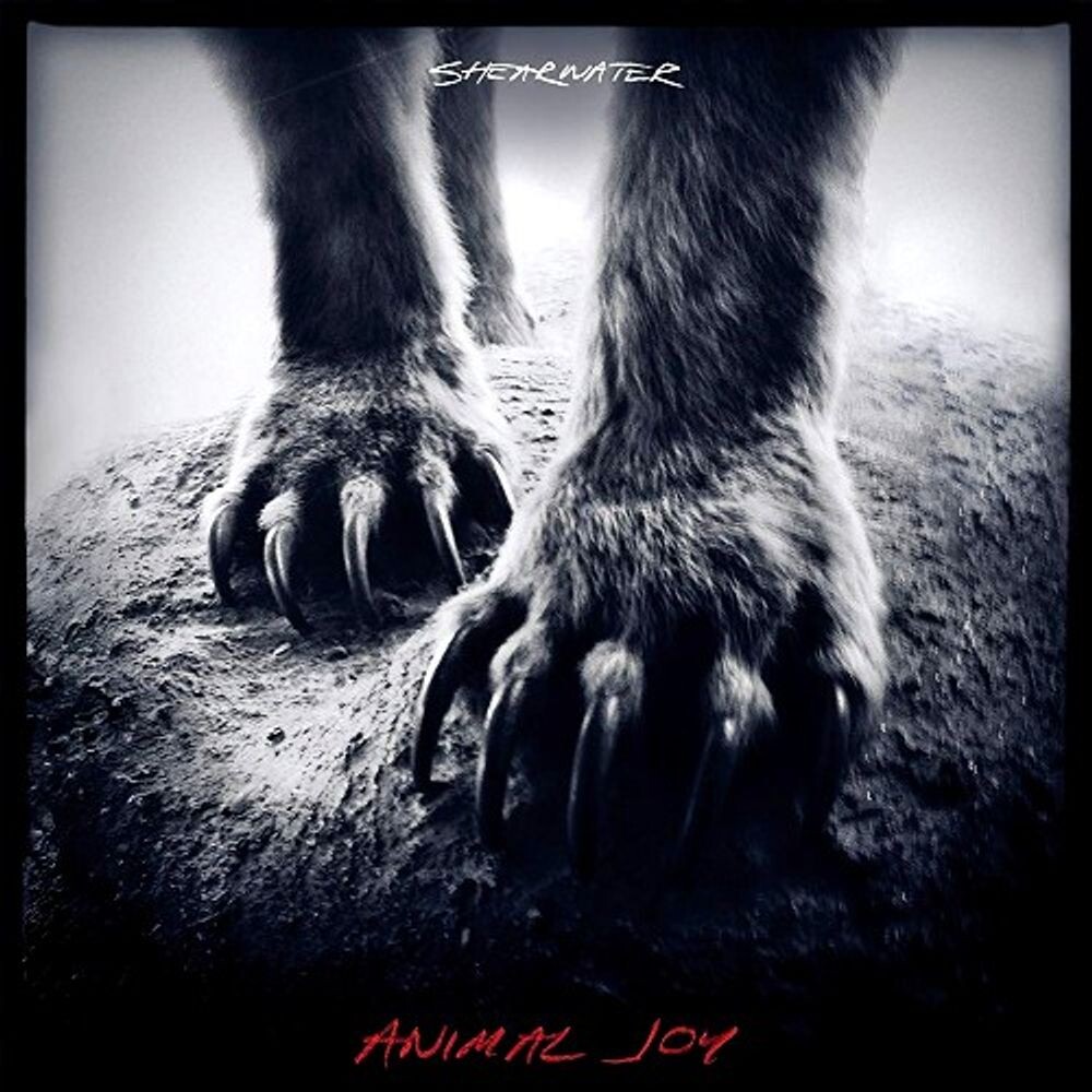 

Диск CD Animal Joy - Shearwater