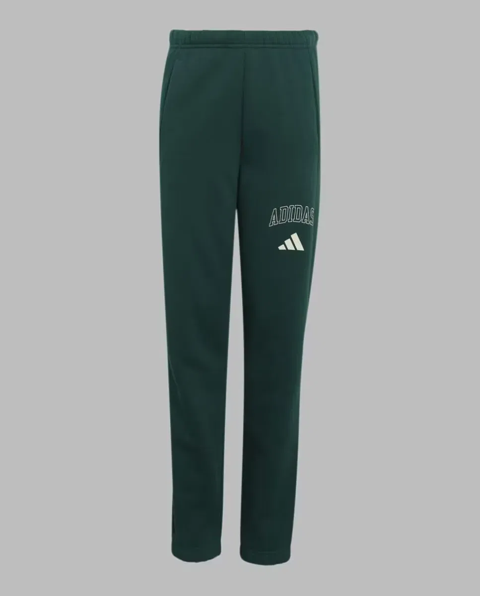 Детский спортивный брюки для мальчиков adidas, Verde