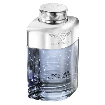 Парфюмерная вода Bentley For Men Silverlake, 100 мл