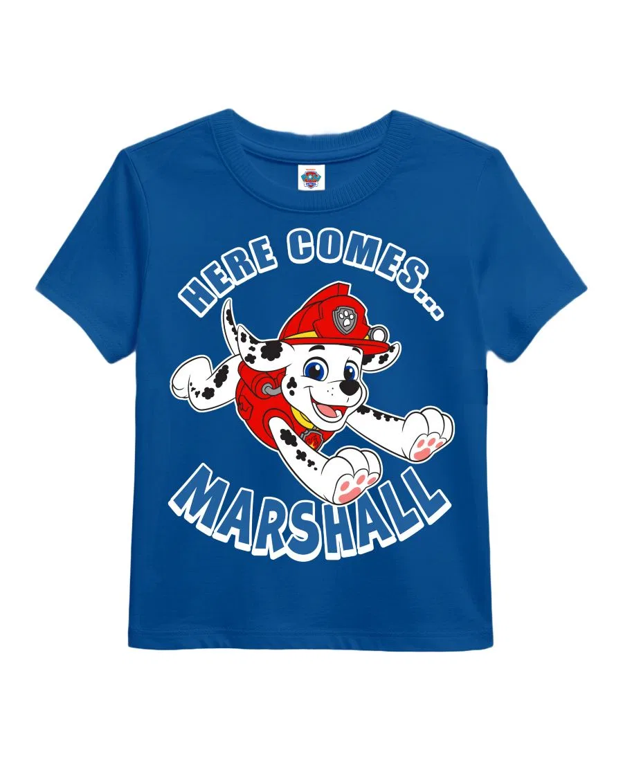 Футболка с коротким рукавом и принтом, комплект из 3 штук Paw Patrol, Assorted — фото 4
