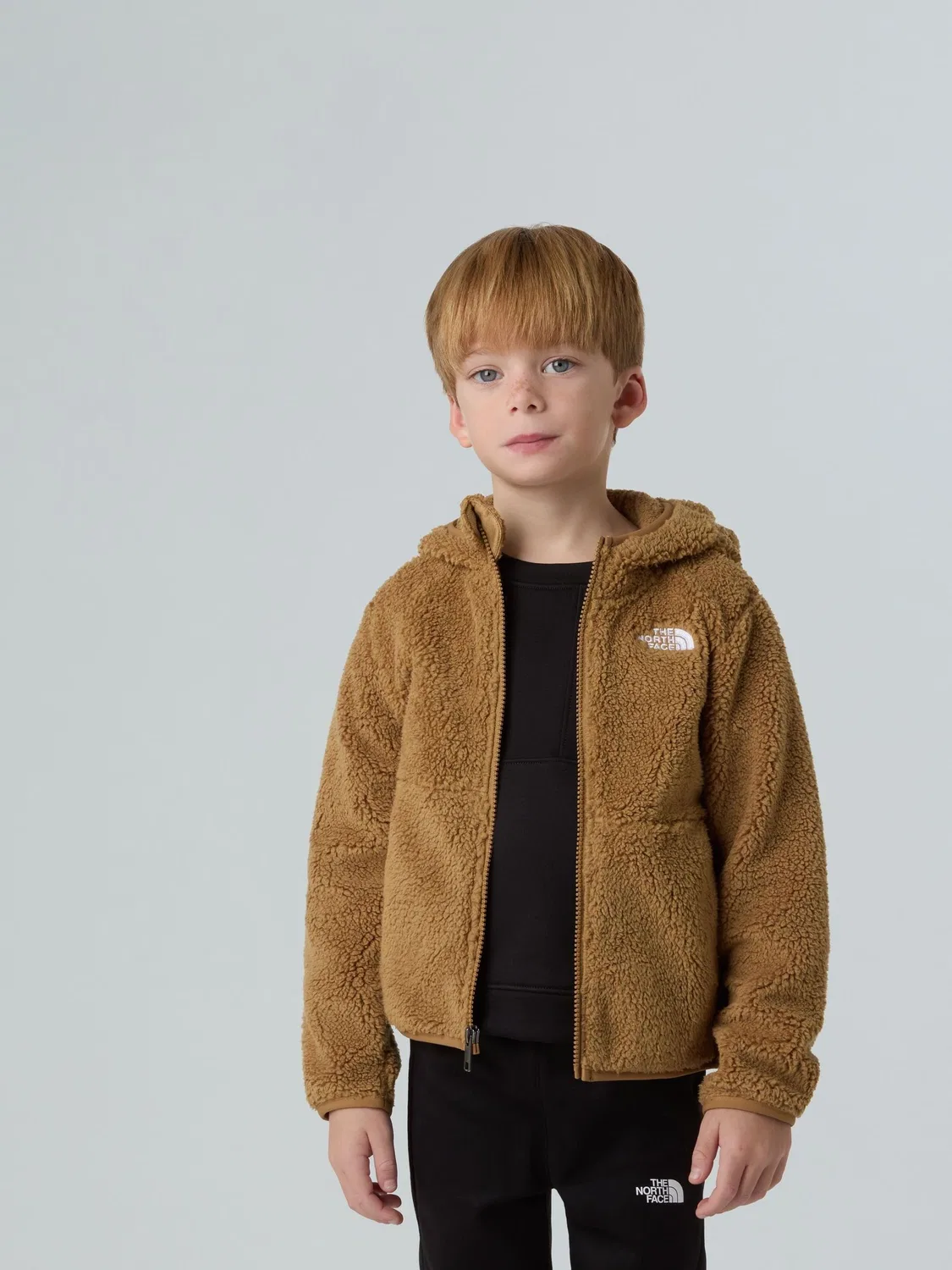 Толстовка на молнии, флисовая, Campshire The North Face, коричневый — фото 4