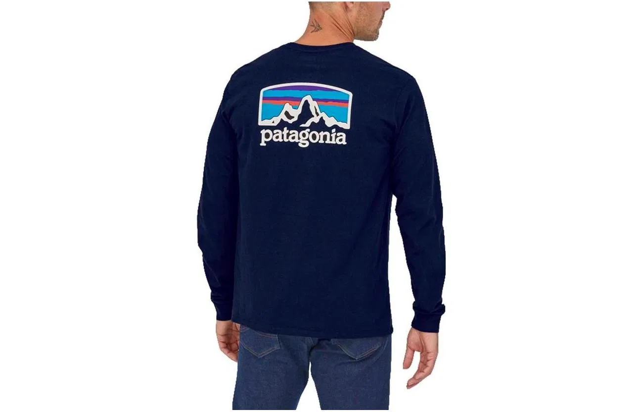 Мужская футболка с принтом Patagonia, Sound Wave Blue