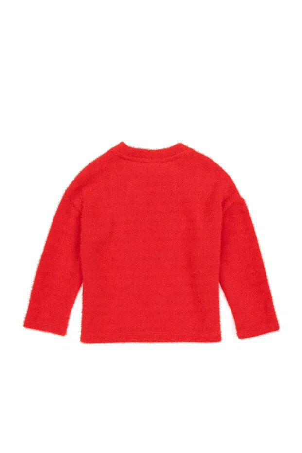 Детское для девочек свитшот с длинным рукавом U.S. Polo Assn., Red — фото 4