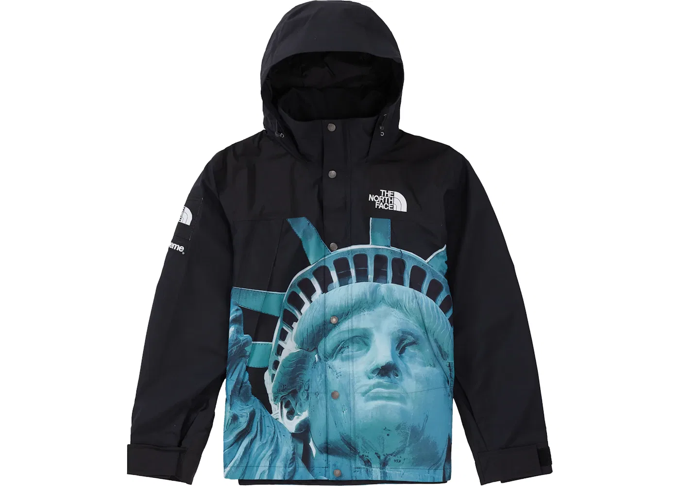 Мужская куртка-пуховик с принтом Mountain Jacket Supreme The North Face, Black