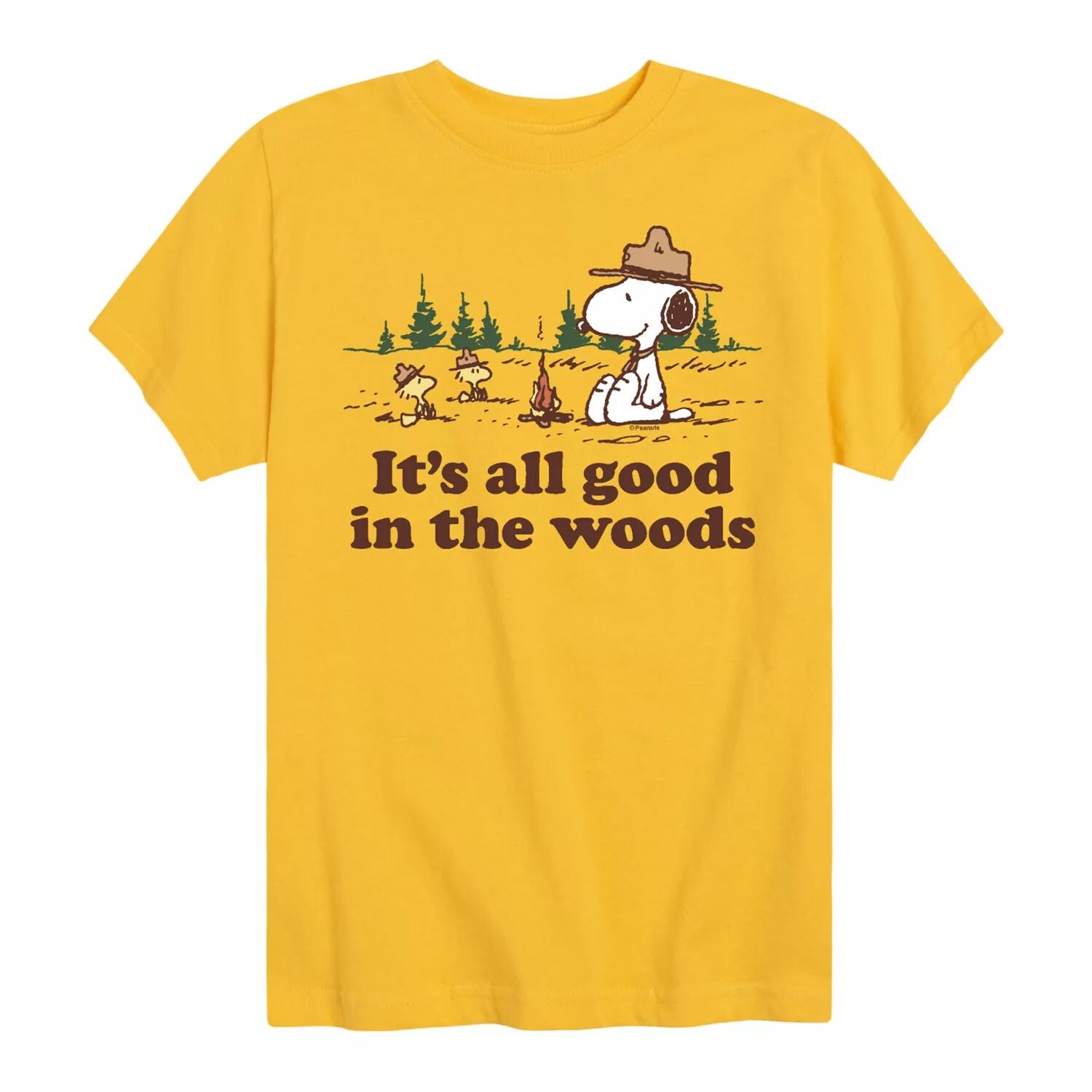 

Футболка Peanuts с рисунком «All Good In The Woods» для мальчиков 8–20 лет Licensed Character, желтый