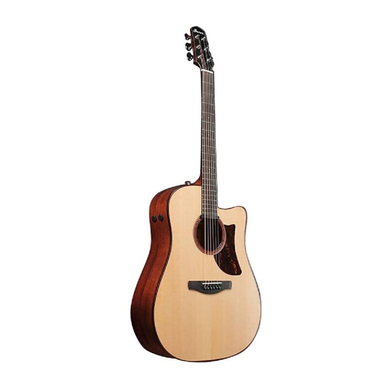 

Ibanez AAD300CE 6-String Advanced Acoustic Guitar (Natural Low Gloss)
