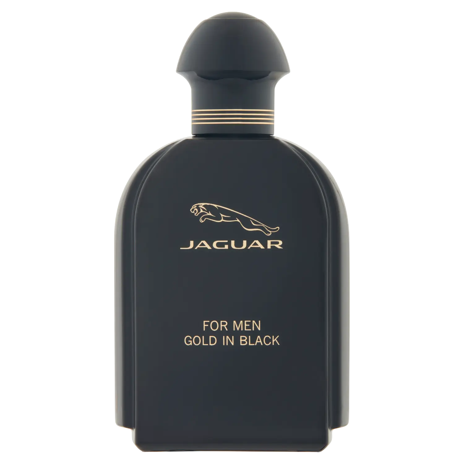 

Jaguar Gold in Black туалетная вода для мужчин, 100 мл