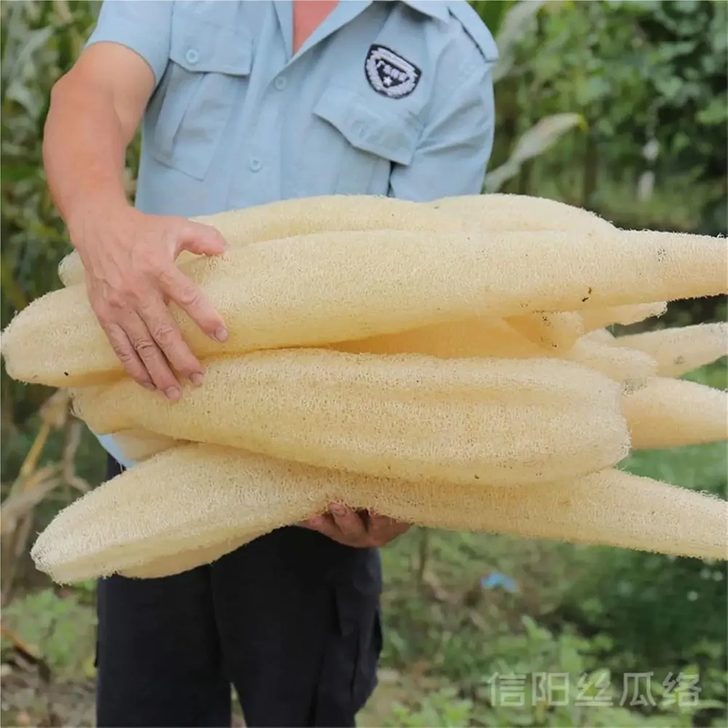 Люфа для душа и кухни, Натуральная, 100 г, Natural Generisch — фото 2