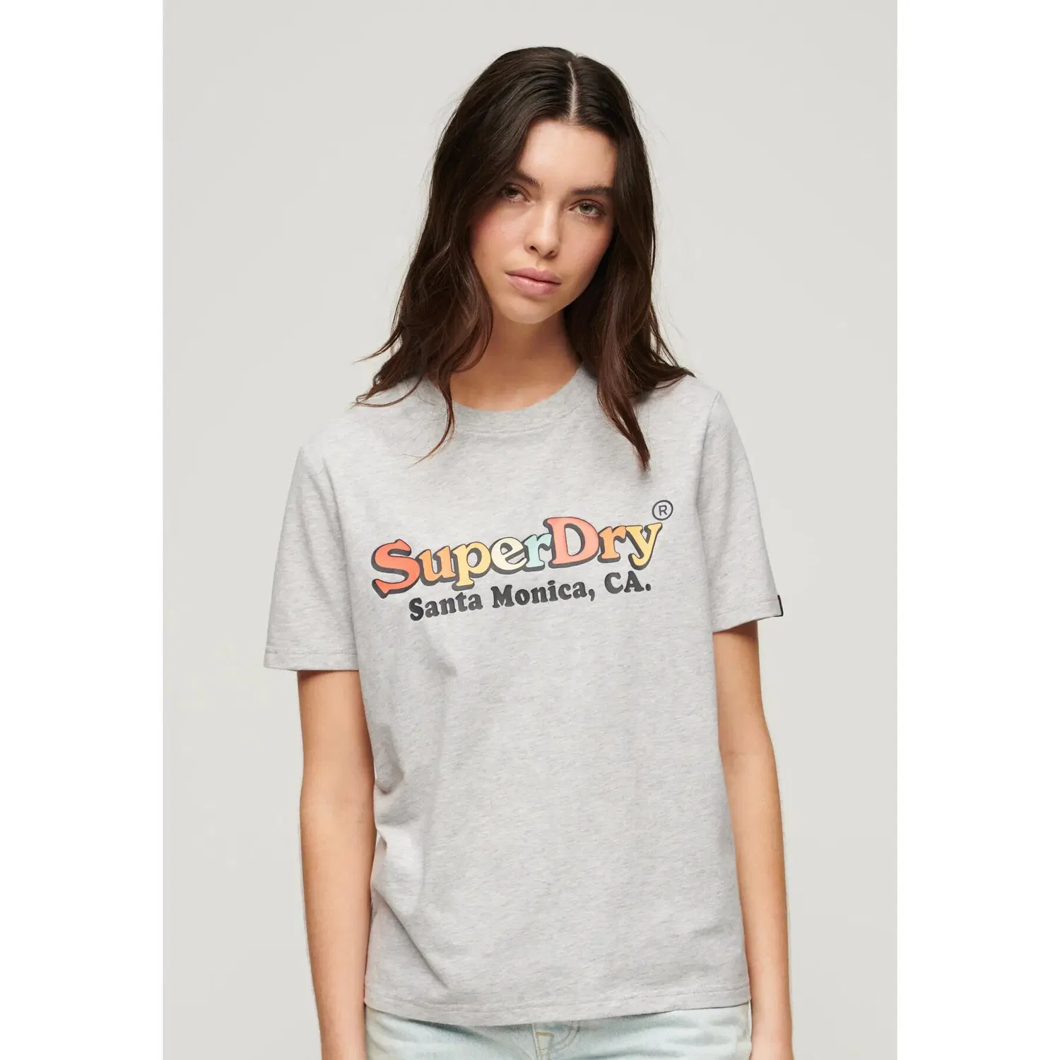 Мужская футболка с принтом Superdry, Grau — фото 3