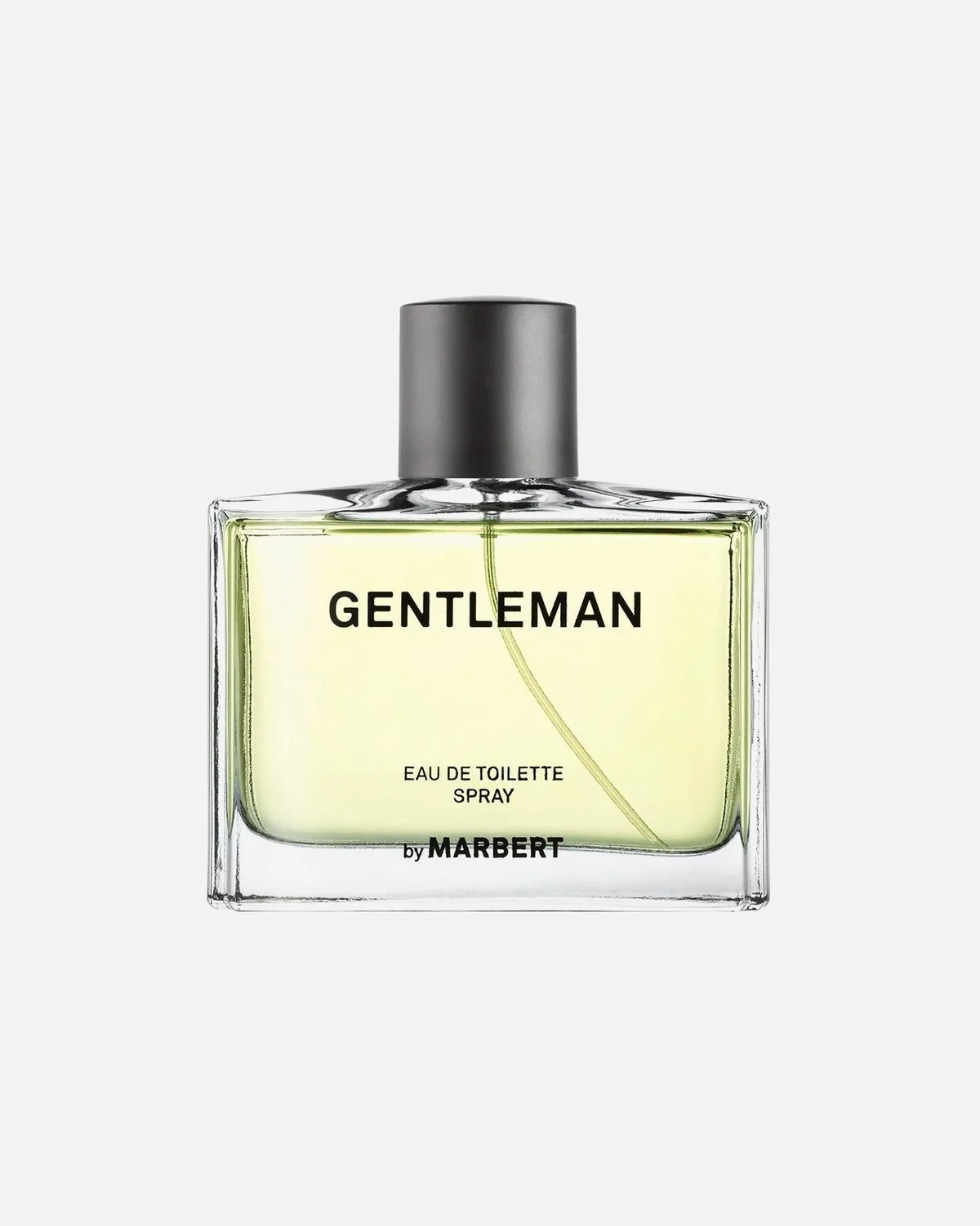 Туалетная вода для джентльменов Marbert, 100 Ml
