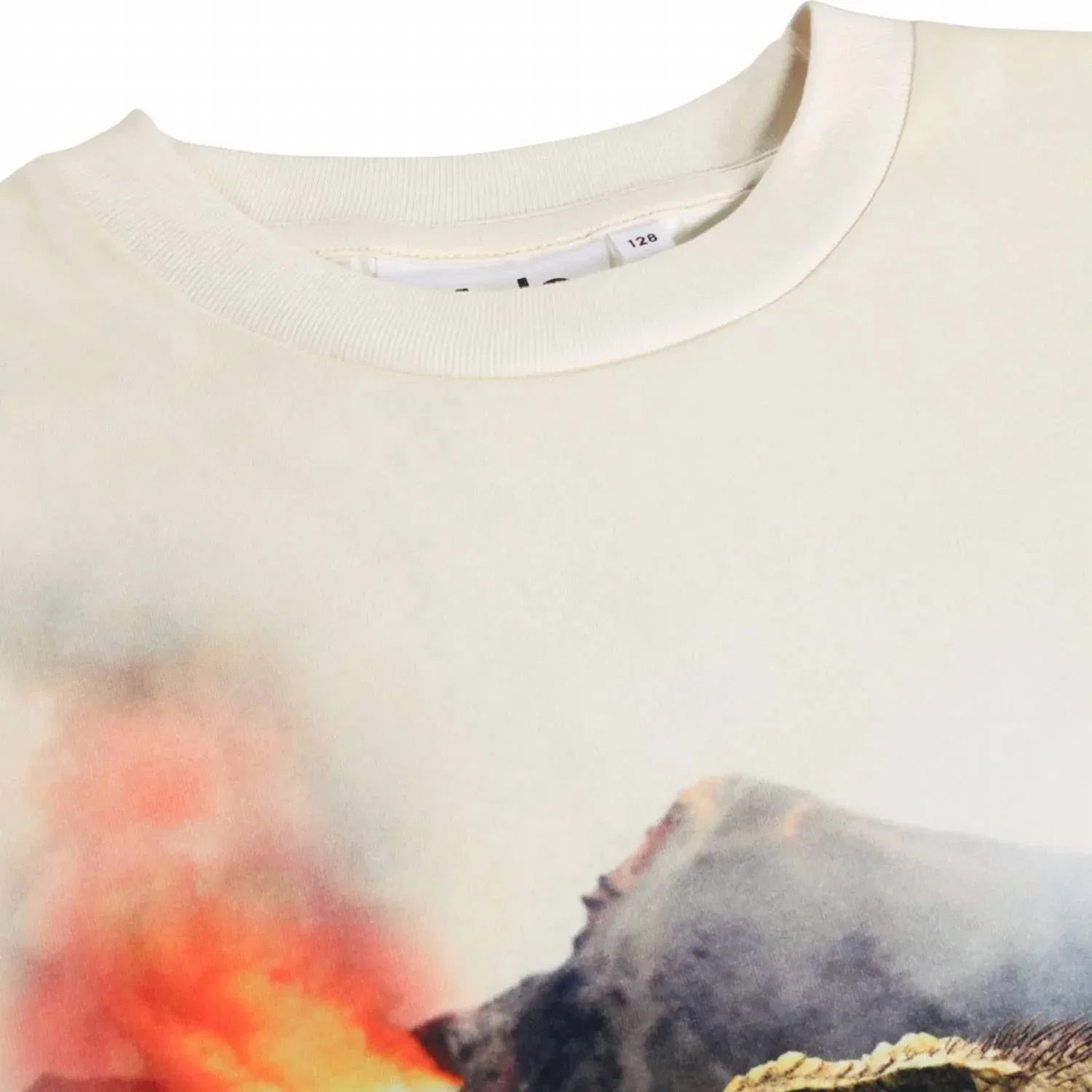 Детская футболка для мальчиков с принтом динозавров Riley Short Sleeve Tee Molo, Hot Spring Dinos — фото 2