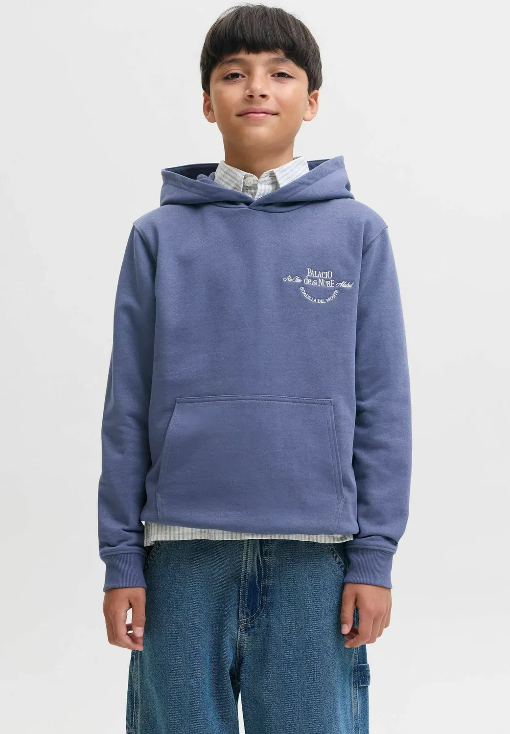 Худи с принтом на спине для мальчиков - худи Jack & Jones Junior, Crown Blue — фото 3