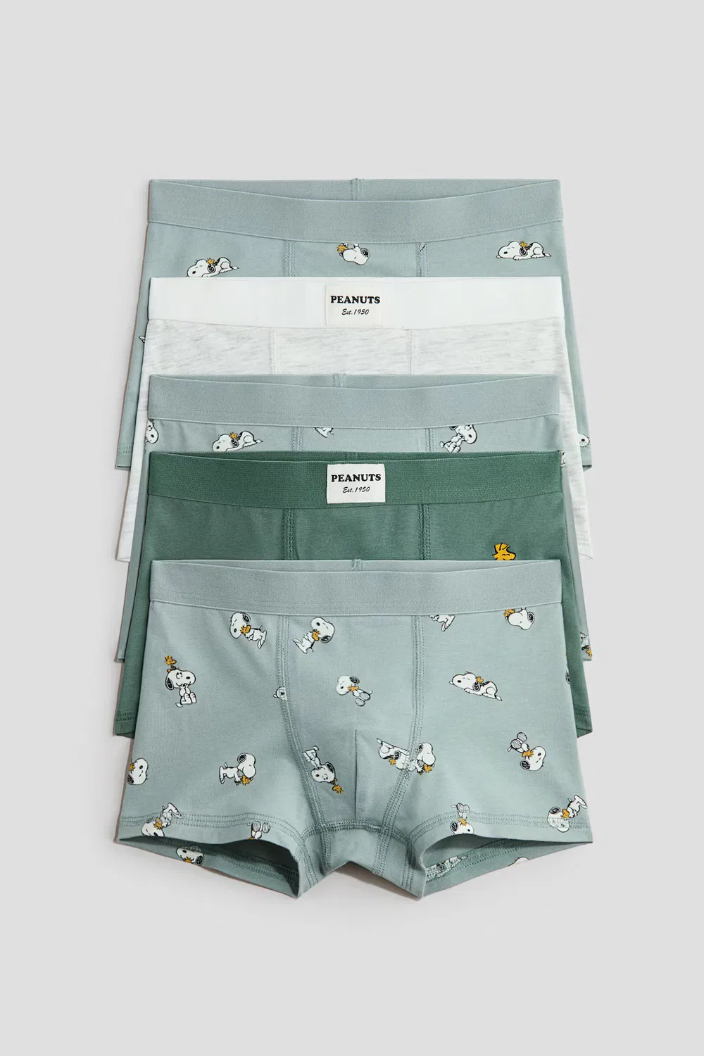 Комплект из 5 хлопковых боксеров с принтом H&M, Matttürkis/Snoopy