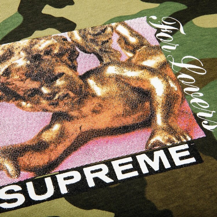 Футболка Supreme Lovers Tee 'Woodland Camo', разноцветный — фото 3