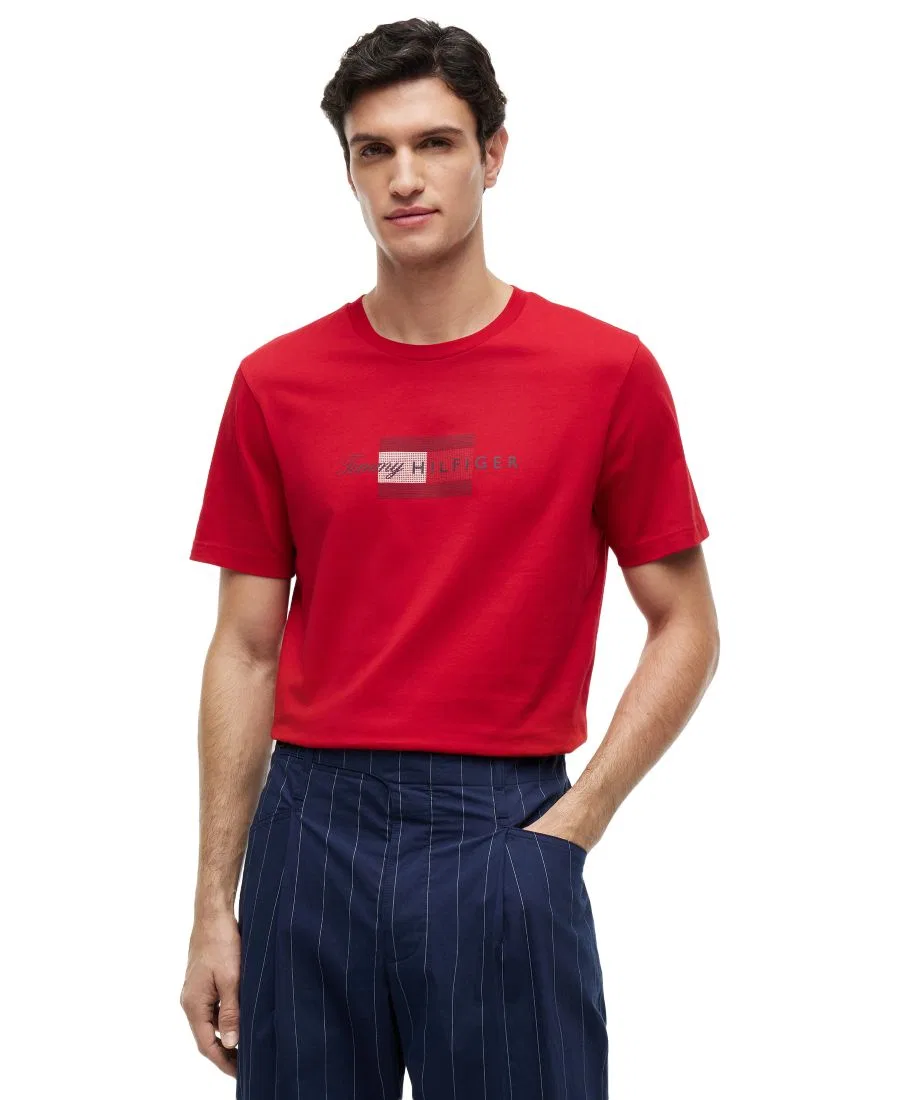 Футболка мужская свободного кроя Script Flag Tommy Hilfiger, Medium Red