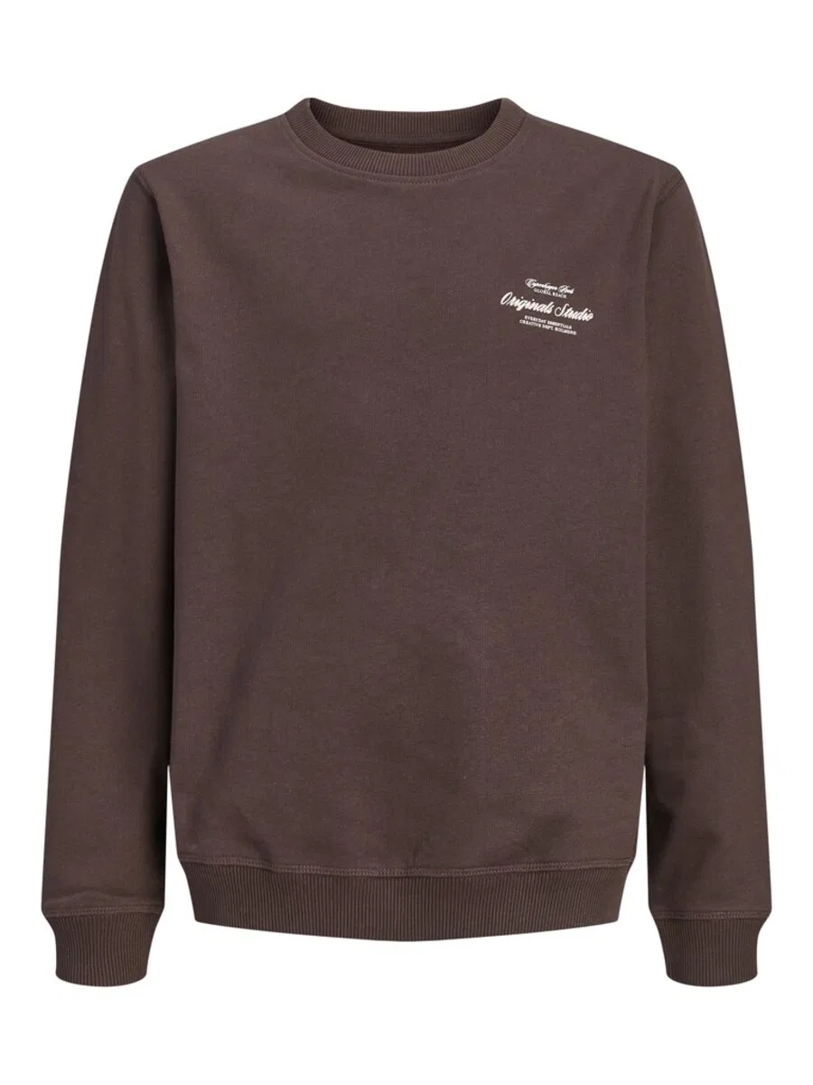 Детская толстовка Jack & Jones Junior 'JORNORREBRO' шоколадного цвета