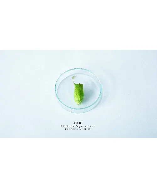 Сыворотка для лица Palelino Rodinia Silk Skin Serum 30 мл × 3 — фото 3