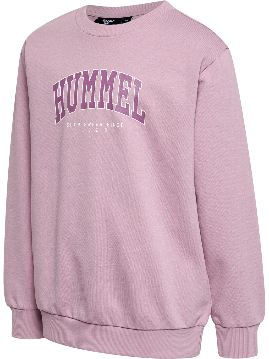 Детский свитшот с принтом Hmlfast Hummel, Grauviolett Rosa