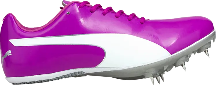 

Бутсы Puma evoSpeed Sprint 10 Deep Orchid White, фиолетовый