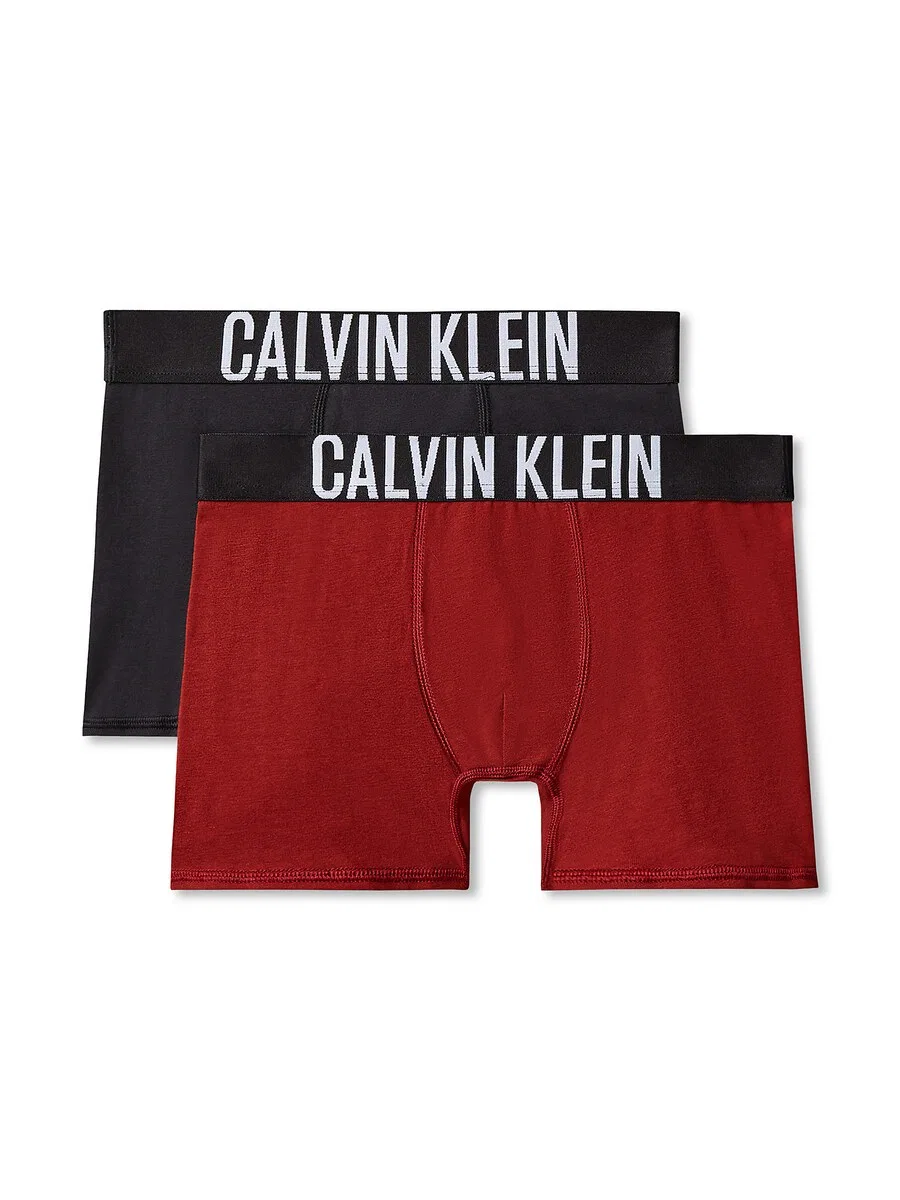 Трусы Calvin Klein Underwear, стандартные, темно-синие, красные