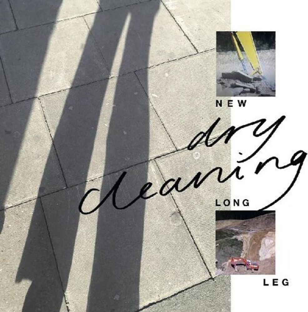 

Виниловая пластинка LP New Long Leg - Dry Cleaning