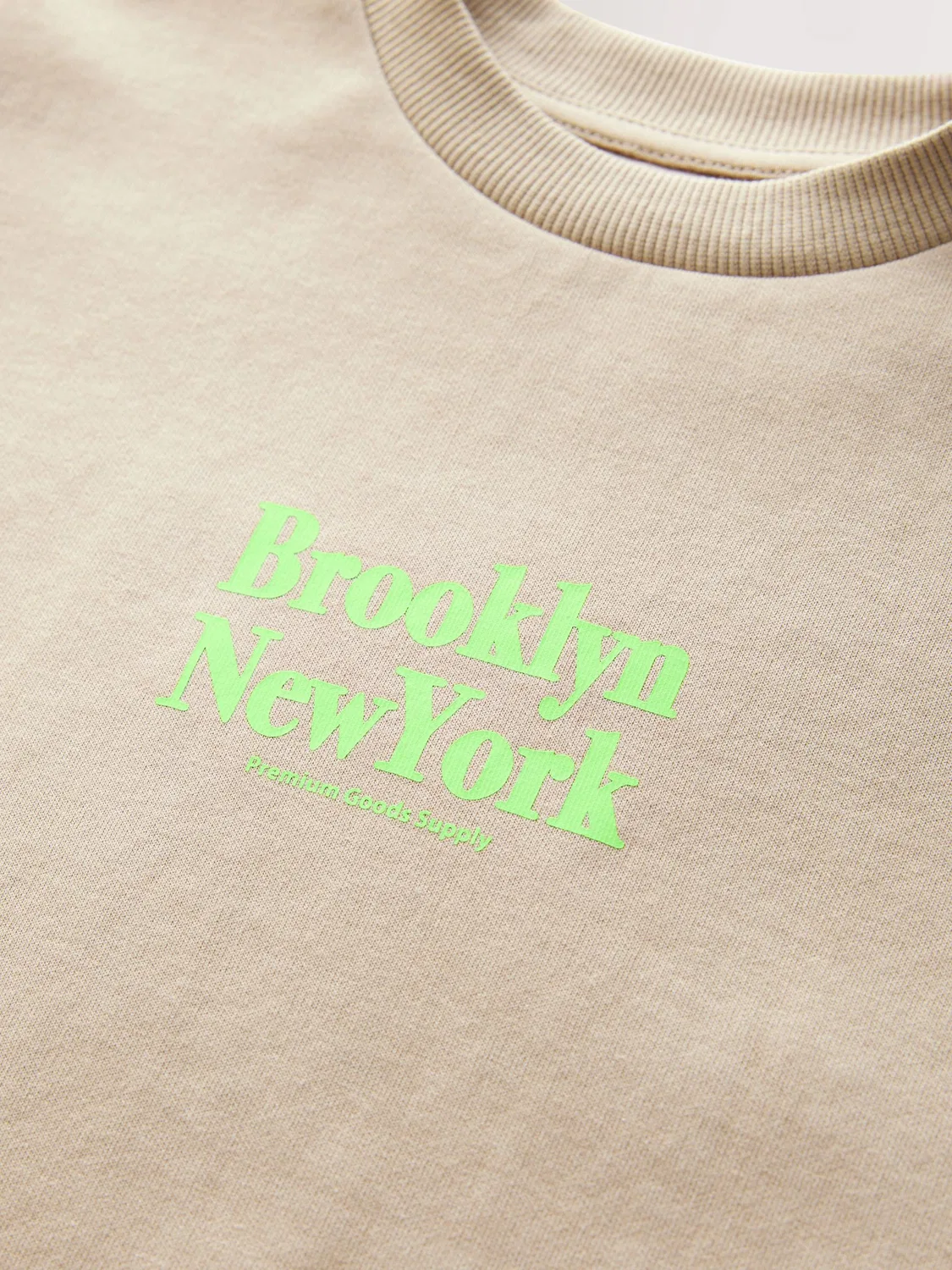 Футболка с принтом, модель Stone Brooklyn Next, цвет Stone Brooklyn — фото 3