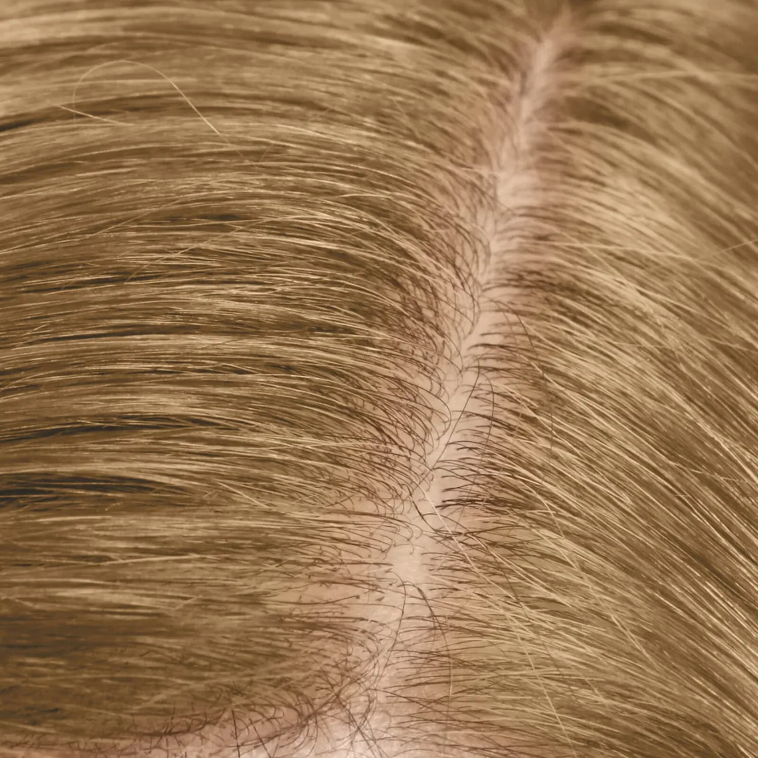 Dualsenses Color Revive Root Touch Up Светлый Блонд 3,7 г Goldwell — фото 4