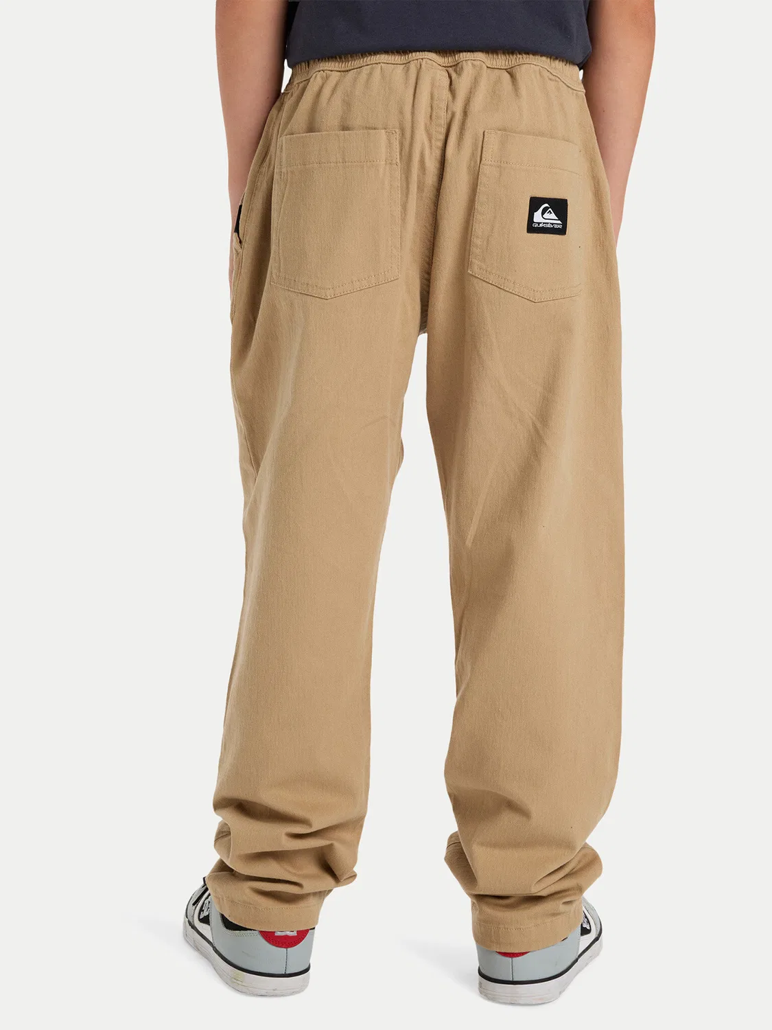 Брюки-карго для мальчика Taxer Heavy Twill Quiksilver, бежевый — фото 3