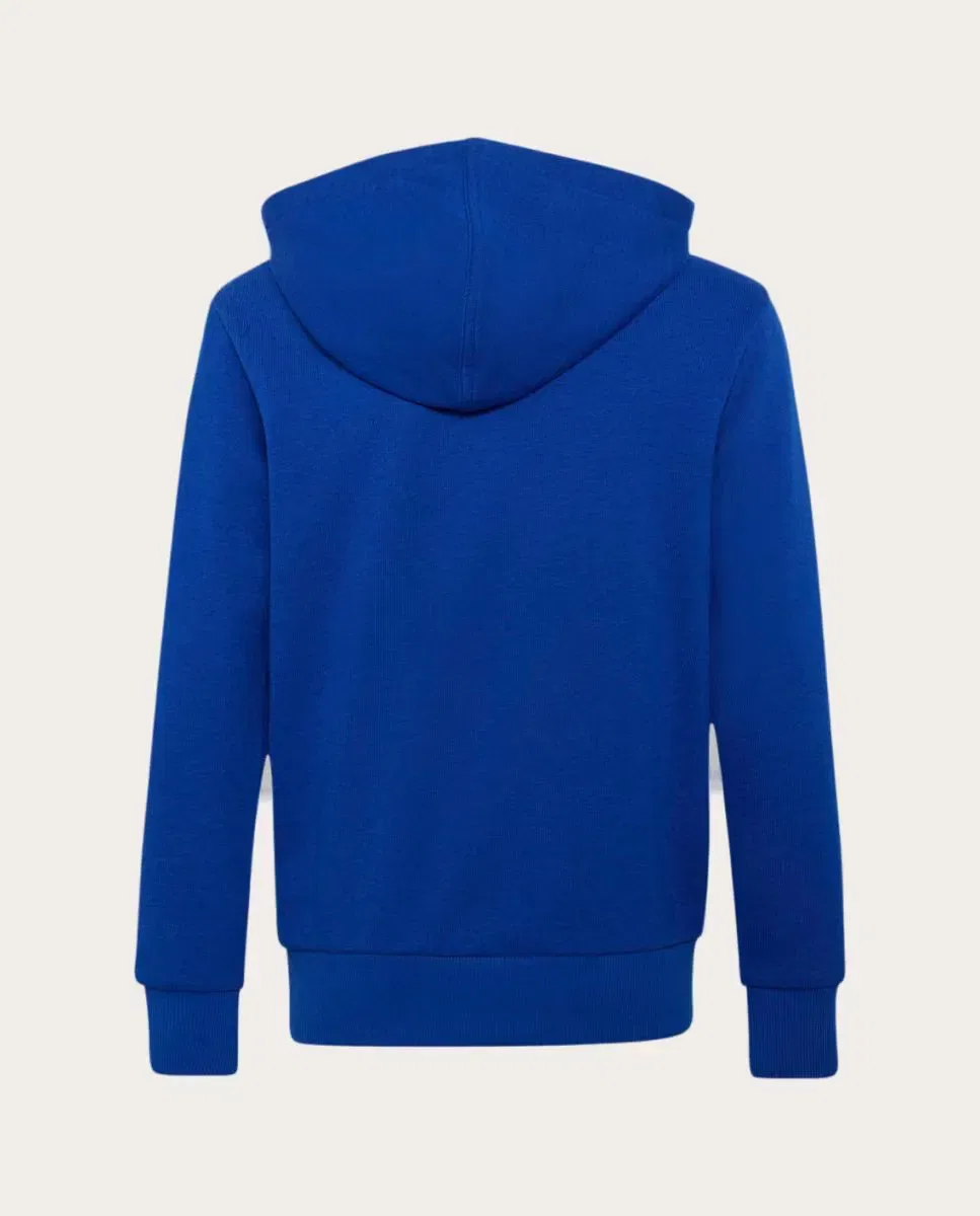 Детская худи с капюшоном для мальчиков хлопковая Essentials adidas, Азул — фото 2