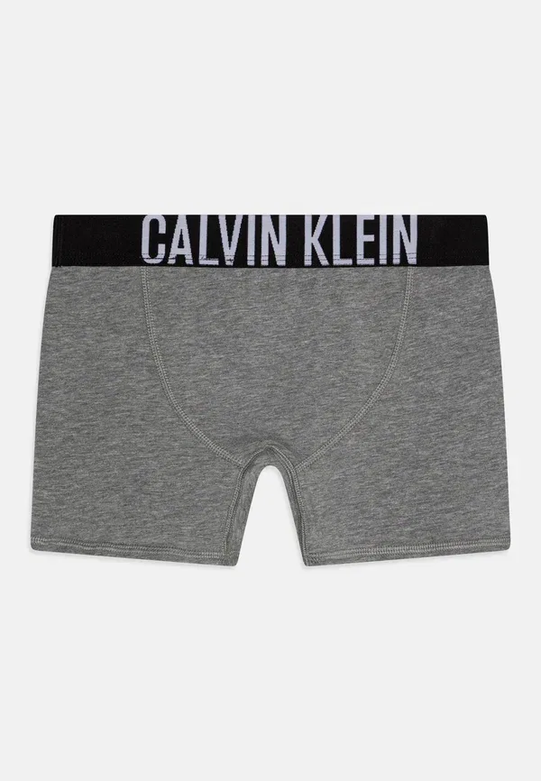 Комплект из 2 боксерских трусов Calvin Klein Underwear, серый — фото 2