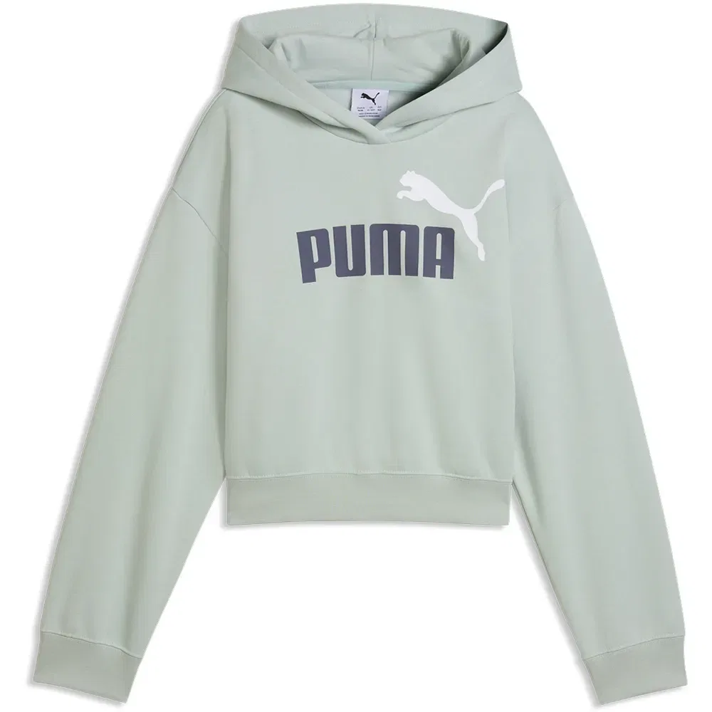 Худи Puma Essential 2 Color Nº1 Logo Short Length, зеленый — фото 3