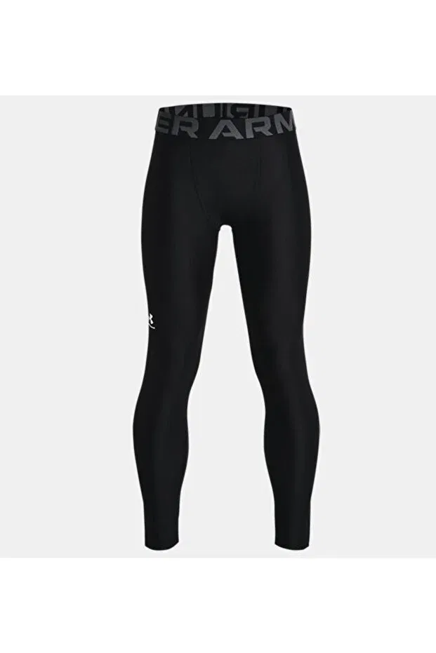 Детские леггинсы для девочек с длинным рукавом HeatGear Armour Tights Under Armour, 1361738001